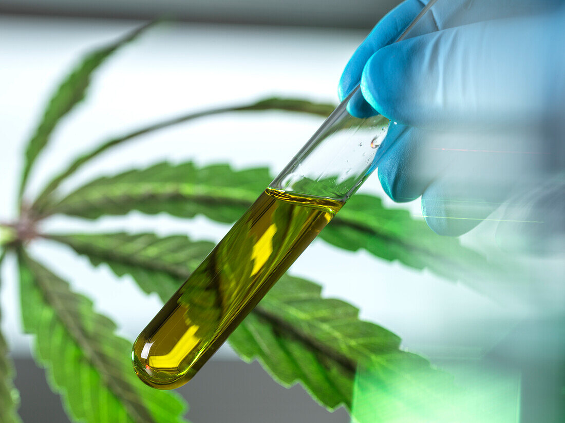 Nahaufnahme eines Reagenzglases mit CBD-Öl im Labor