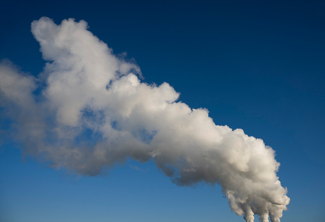 Weiße Wolke über einer Biokraftstofffabrik vor blauem Himmel