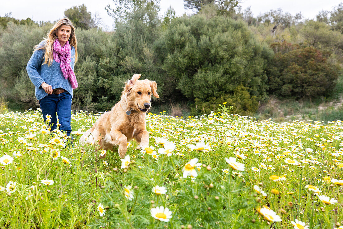 Spain, Mallorca, Woman with Golden Retriever in blooming meadow