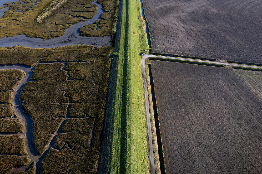 Aerial view of tidal wetlands bordering polder and dyke