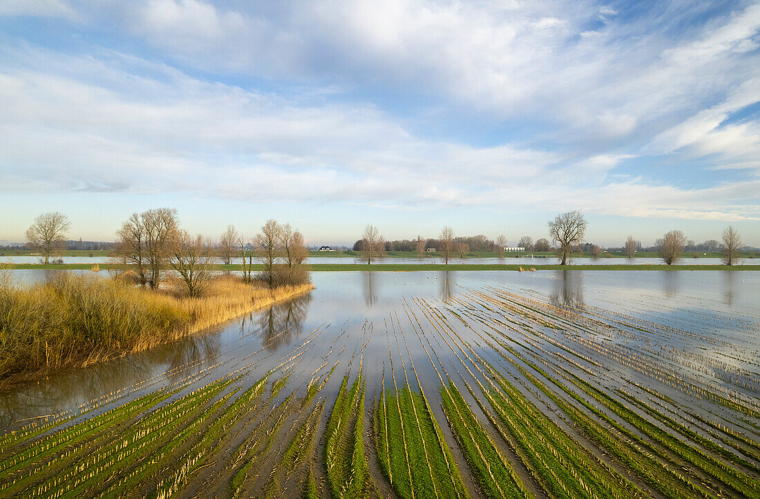 Nasse Polderlandschaft nach extremen Regenfällen