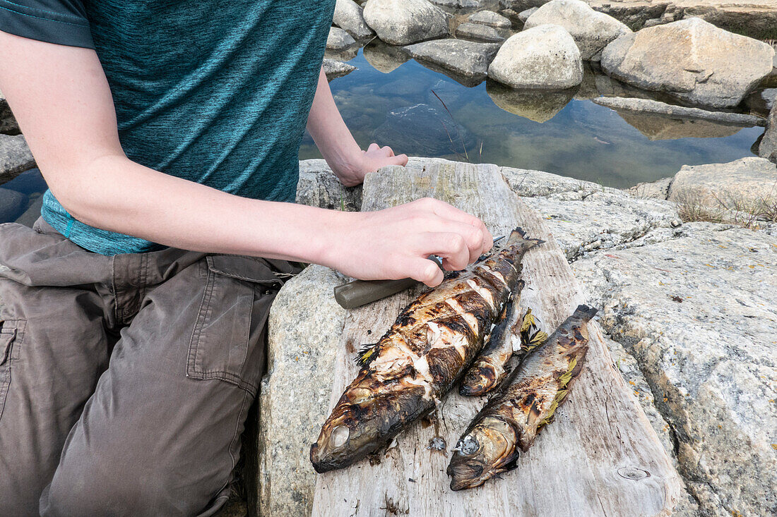 Junge (14-15) sitzt auf einem Felsen und berührt gegrillten Fisch