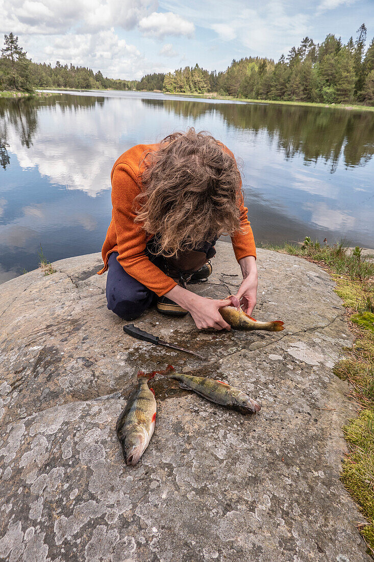 Junge (14-15) beim Ausnehmen von frisch gefangenem Fisch