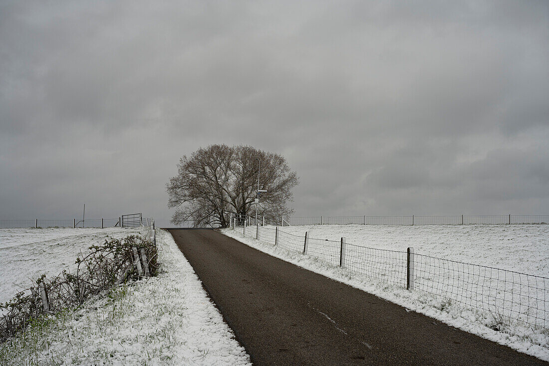 Road in floodlands around river Waal in winter