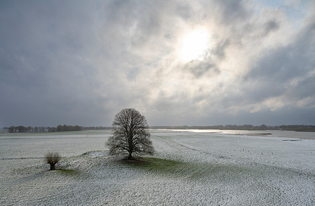 Floodlands around river Waal in winter