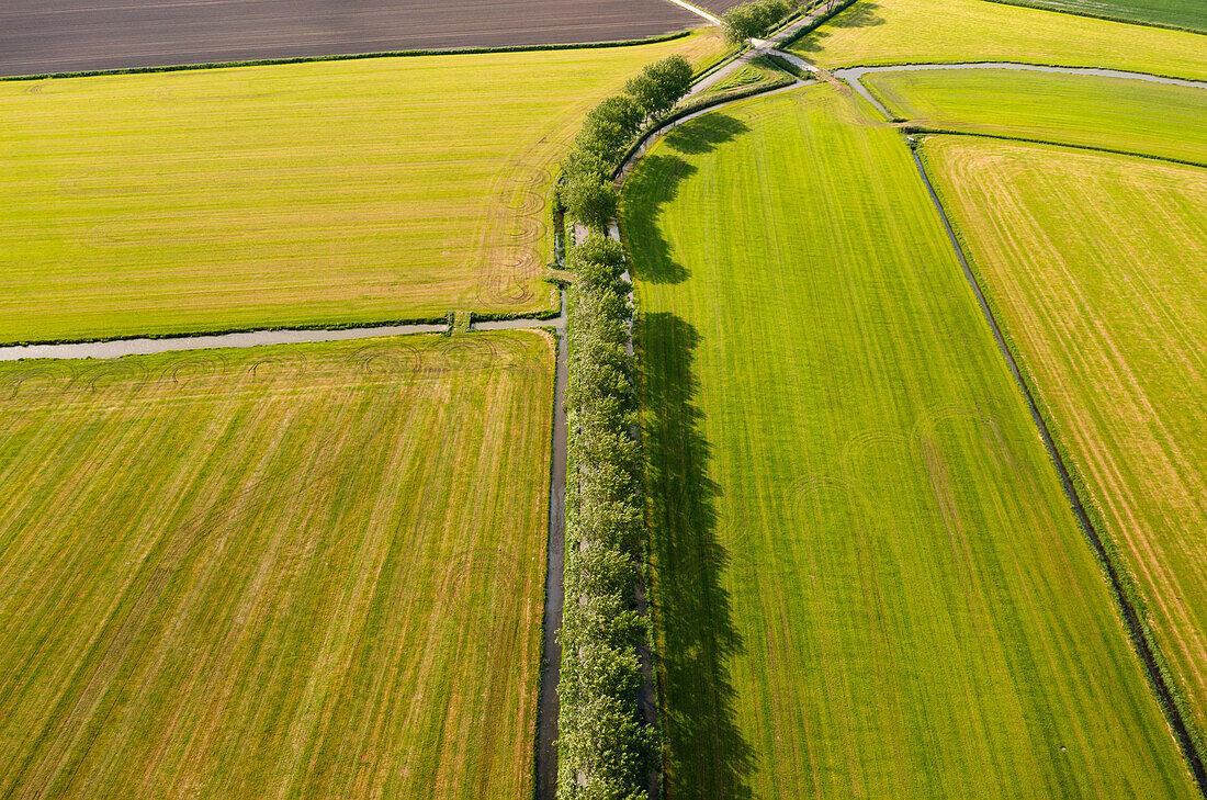 Aerial view of ditches and polders