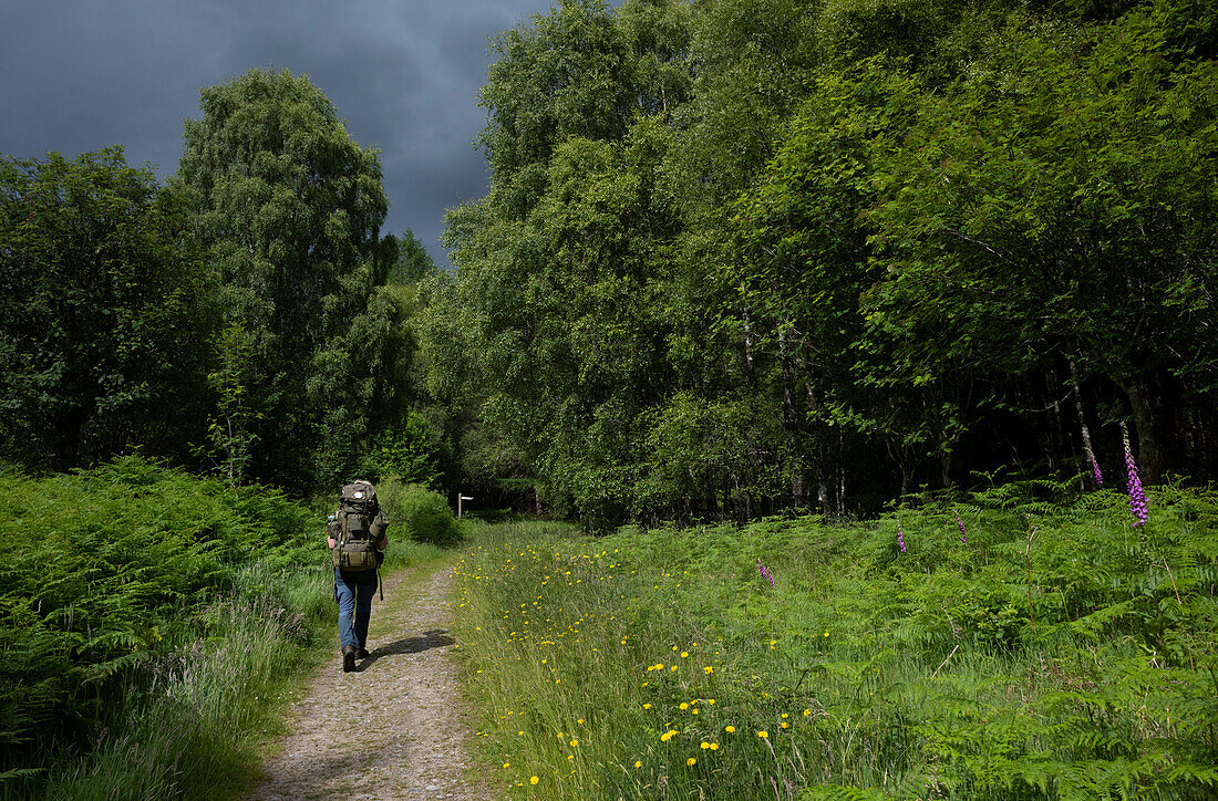 UK, Schottland, Rückansicht eines Mannes mit Rucksack in einer Landschaft