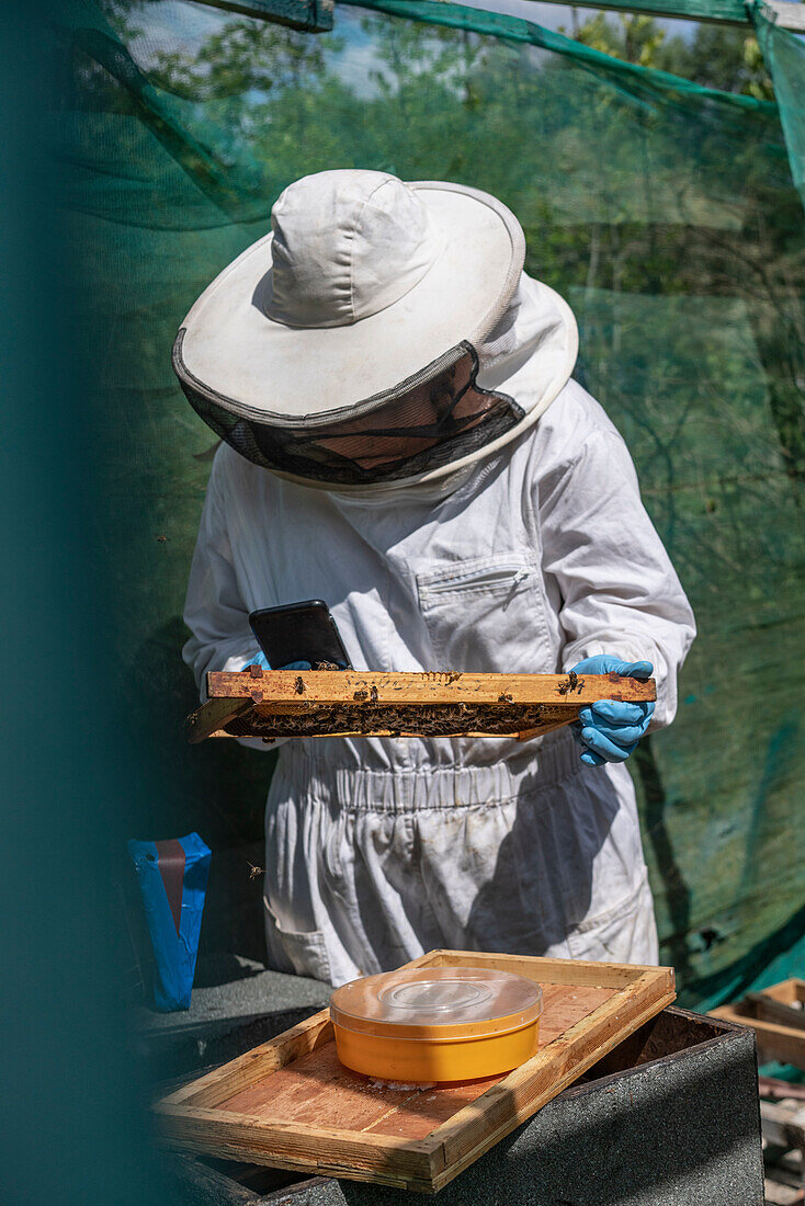 Imker hält Rähmchen mit Bienen