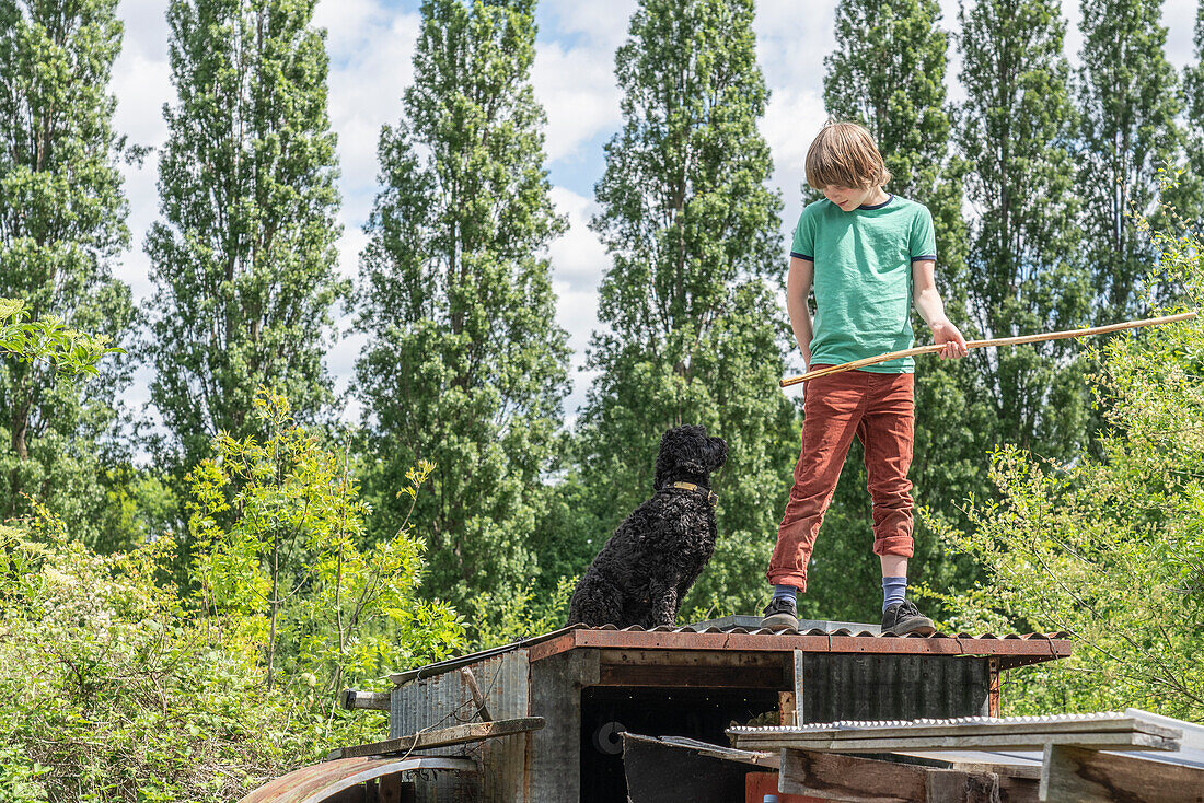 Junge mit Hund steht auf dem Dach einer Kleingartenhütte