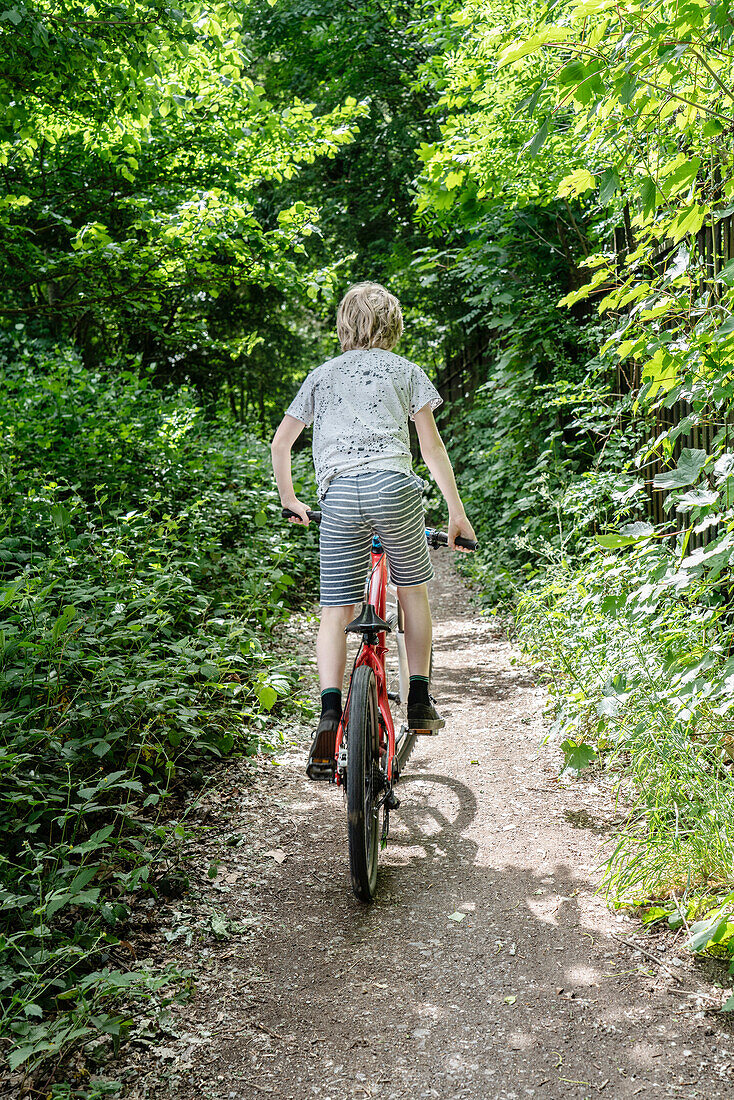 Rückansicht eines Jungen, der auf einem mit Bäumen gesäumten Fußweg Fahrrad fährt