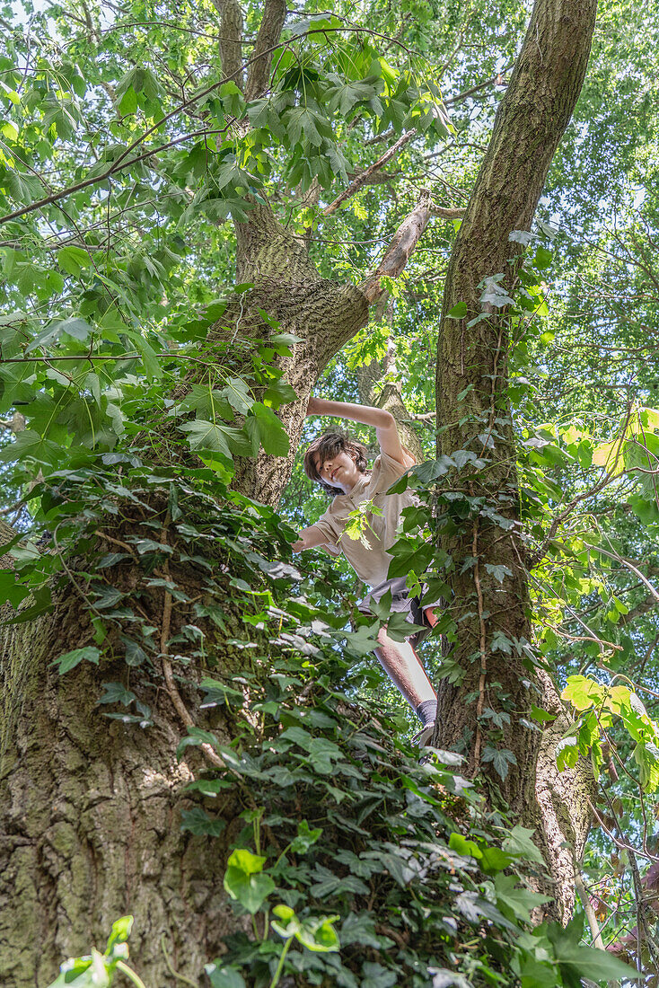 Junge, der auf einen Baum klettert, von unten gesehen