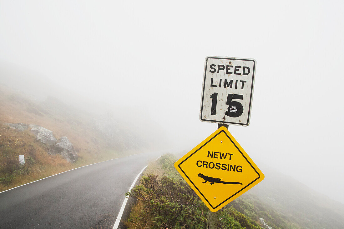 Ein Straßenschild für Newt Crossing; Kalifornien, Vereinigte Staaten Von Amerika