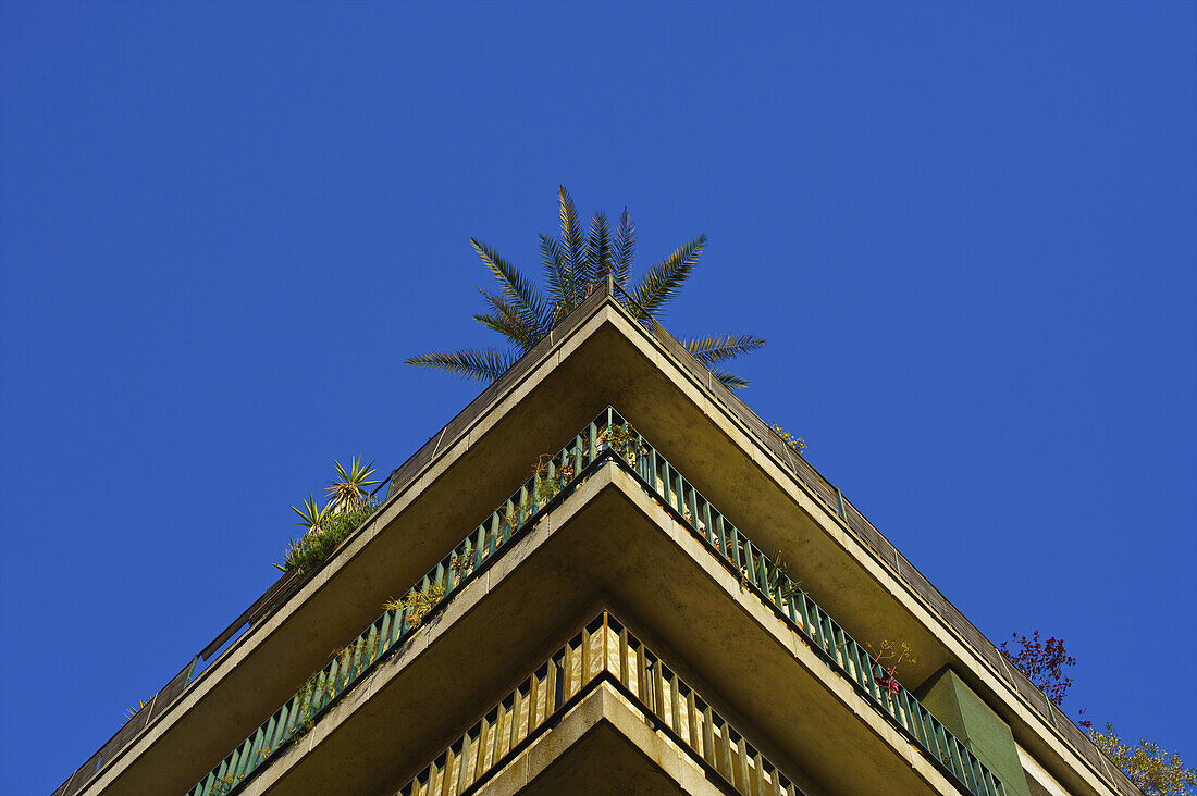 A Roofline And Corner Of A Building Against A Blue Sky With A Palm Tree; Barcelona, Spain