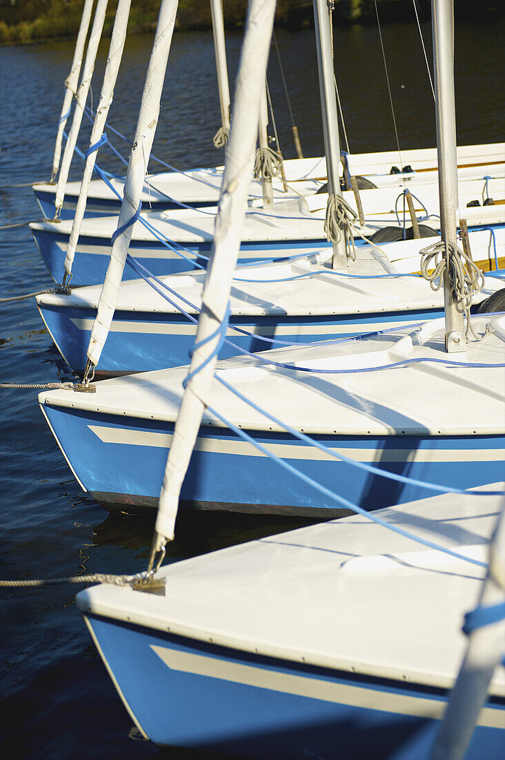 White Sailboats Moored In A Row On The Tranquil Water; Hamburg, Germany