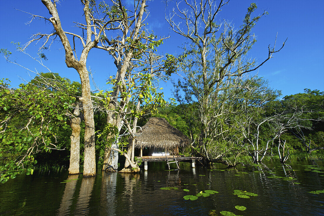 Ein Gebäude mit Strohdach und Stelzen entlang der Uferlinie; Ulpotha, Embogama, Sri Lanka