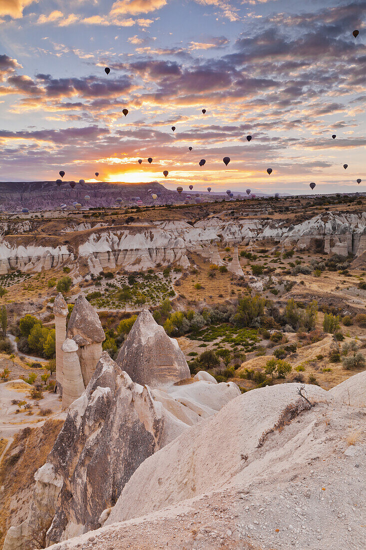 Abundance Of Hot Air Balloons Flying Over The Rugged Landscape Of Honey Valley At Sunset; Cappadocia, Turkey