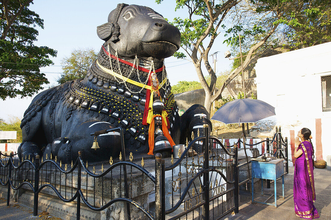 Nandi Bull On Chammundi Hill; Mysore, Karnataka, India