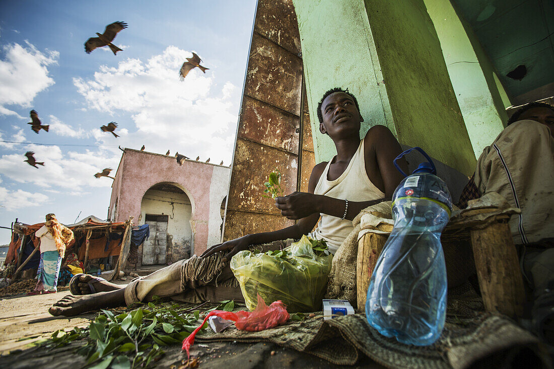 Junger Mann sitzt und kaut Qat in der Altstadt von Harar im Osten Äthiopiens; Harar, Äthiopien.