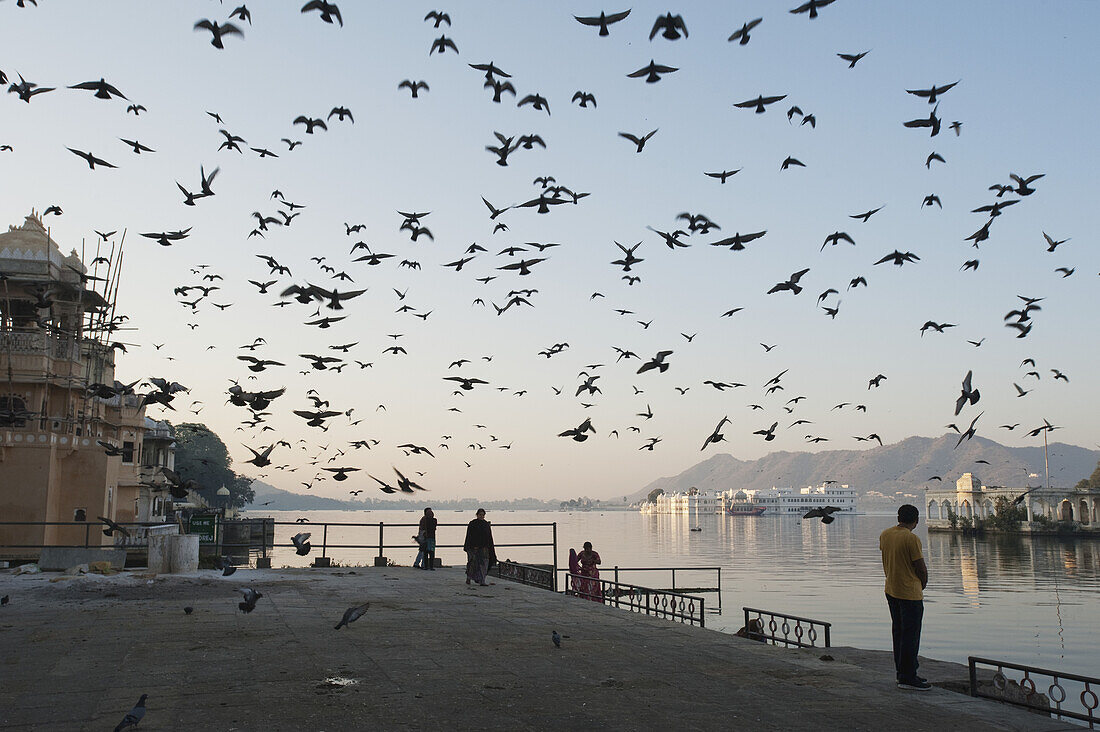 A Flock Of Bird Flying Over The Waterfront At The River's Edge; Udaipur, India