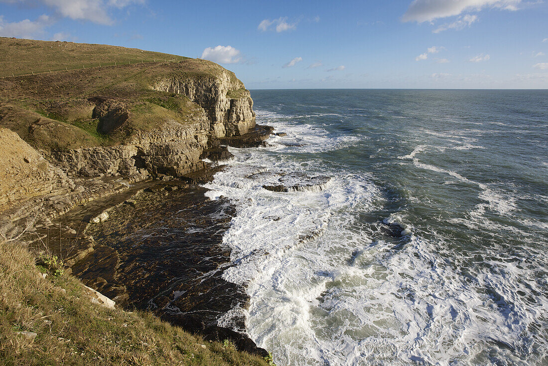 Coastal Cliffs On The Isle Of Purbeck; Dorset, England