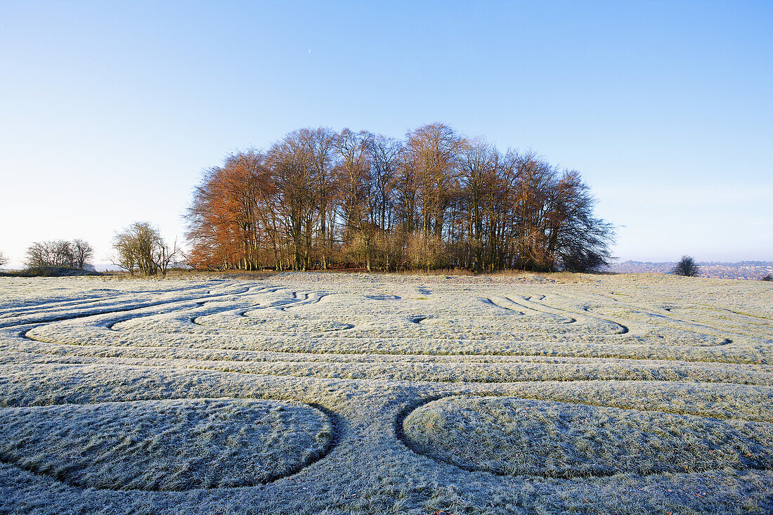 Mizmaze On A Frosty Morning On St. Catherine's Hill; Winchester, England