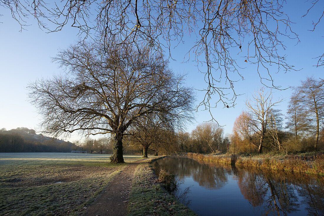 Bäume am Itchen River Navigation Canal an einem nebligen Morgen auf den Wasserwiesen; Winchester, Hampshire, England