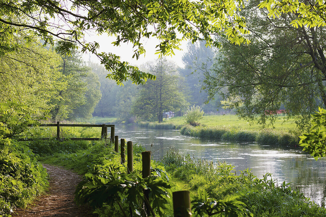 Wasserwiesen entlang des Flusses Itchen an einem Sommertag; Winchester, Hampshire, England.