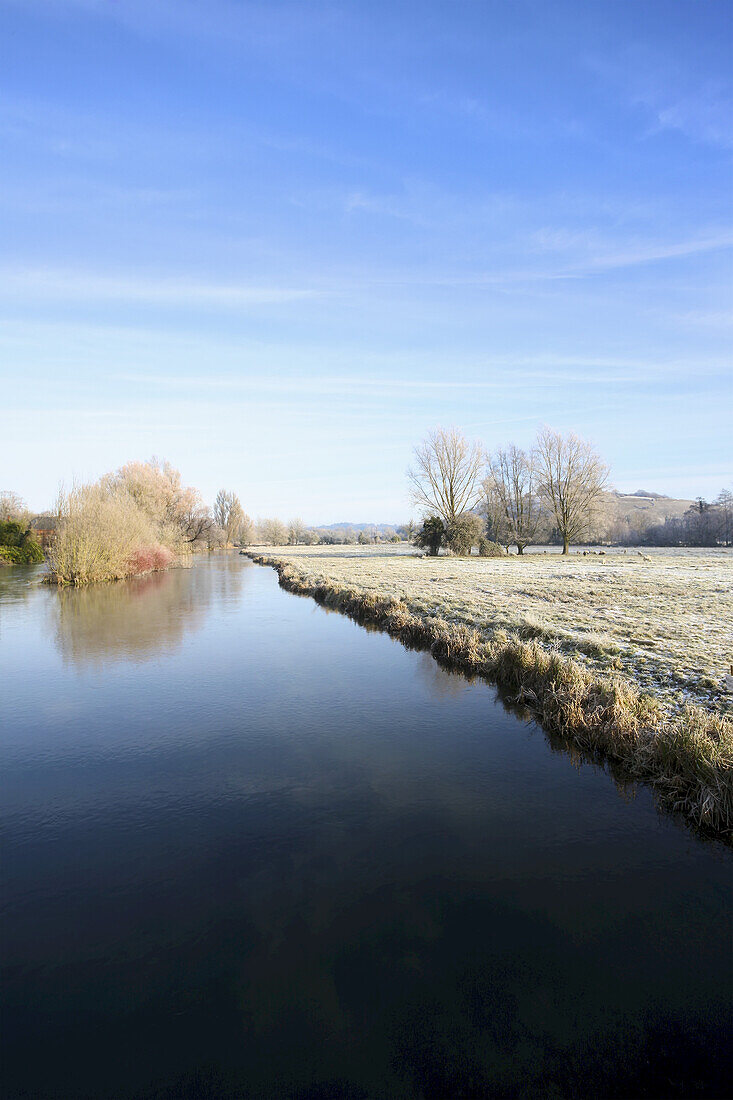 Water Meadows At Dawn; Winchester, Hampshire, England