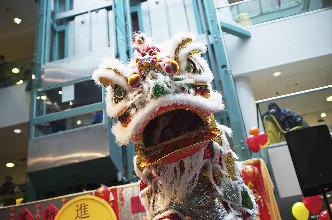 Der Drachentanz wird von der Hong Luca Kung Fu Association während der Eröffnungsfeierlichkeiten zum chinesischen Neujahrsfest im Chinatown Centre vorgeführt; Toronto, Ontario, Kanada.