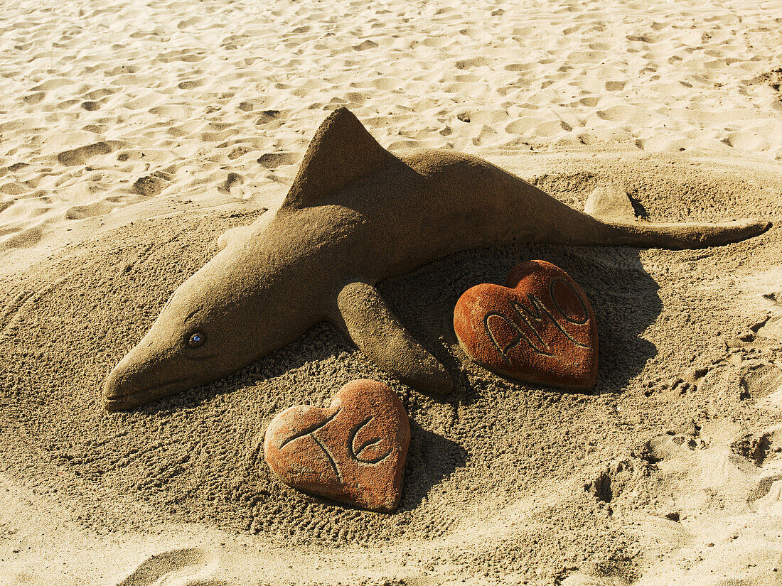 Eine Sandskulptur eines Fisches mit Initialen in Herzform; Vina Del Mar, Valparaiso, Chile