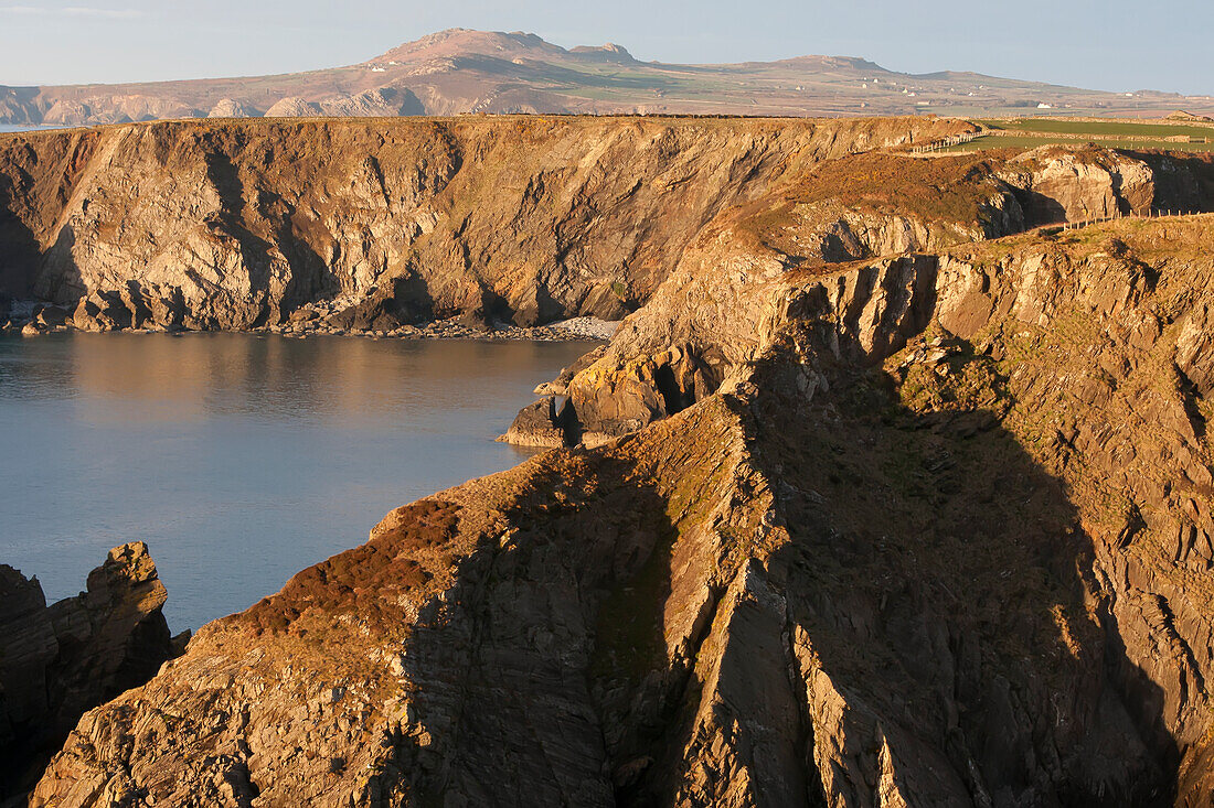 Klippen bei Sonnenuntergang in der Nähe des Dorfes Trefin auf dem Pembrokeshire-Küstenpfad, Südwest-Wales; Pembrokeshire, Wales