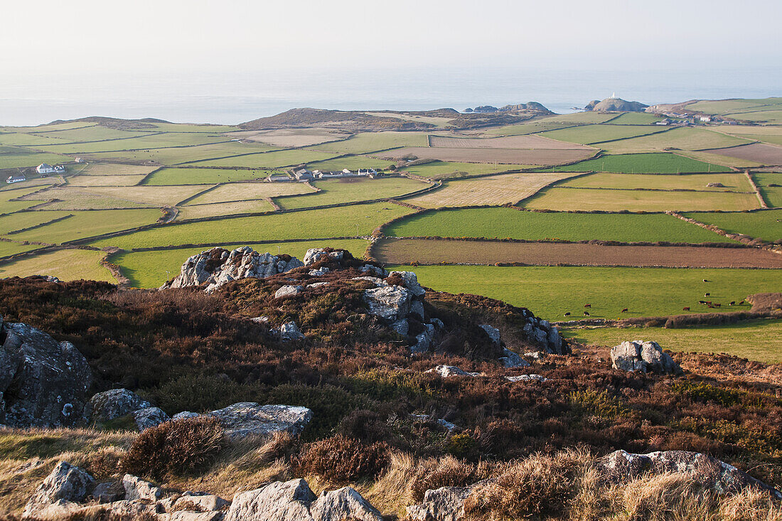 Die baumlose, windgepeitschte Landschaft von Pencaer, vom Gipfel des Garn Fawr aus, mit dem Leuchtturm von Strumble Head in der Ferne, Südwestwales; Pembrokeshire, Wales