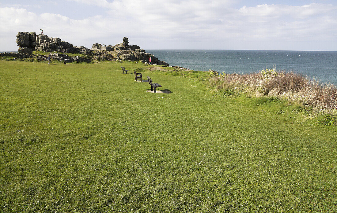 Grünes Gras auf der Insel, St Ives Küste; Cornwall, England