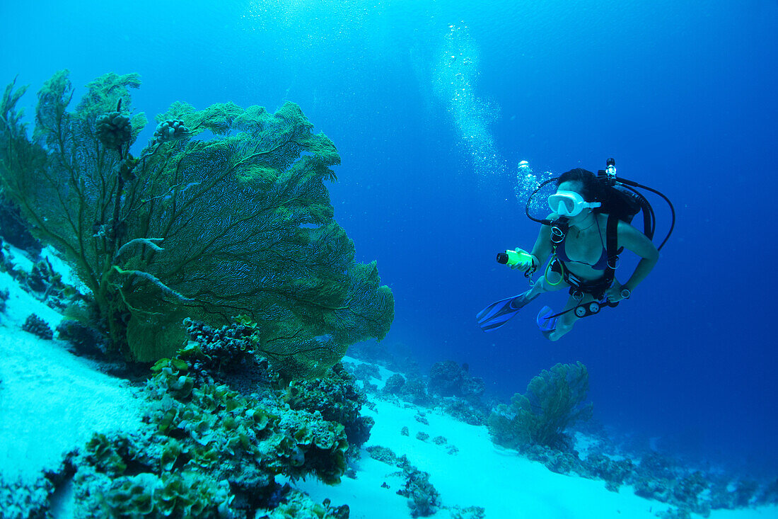 Tauchen vor einer abgelegenen Insel; Marshall-Inseln ?33? Scuba Diving Off A Remote Island; Marshall Islands