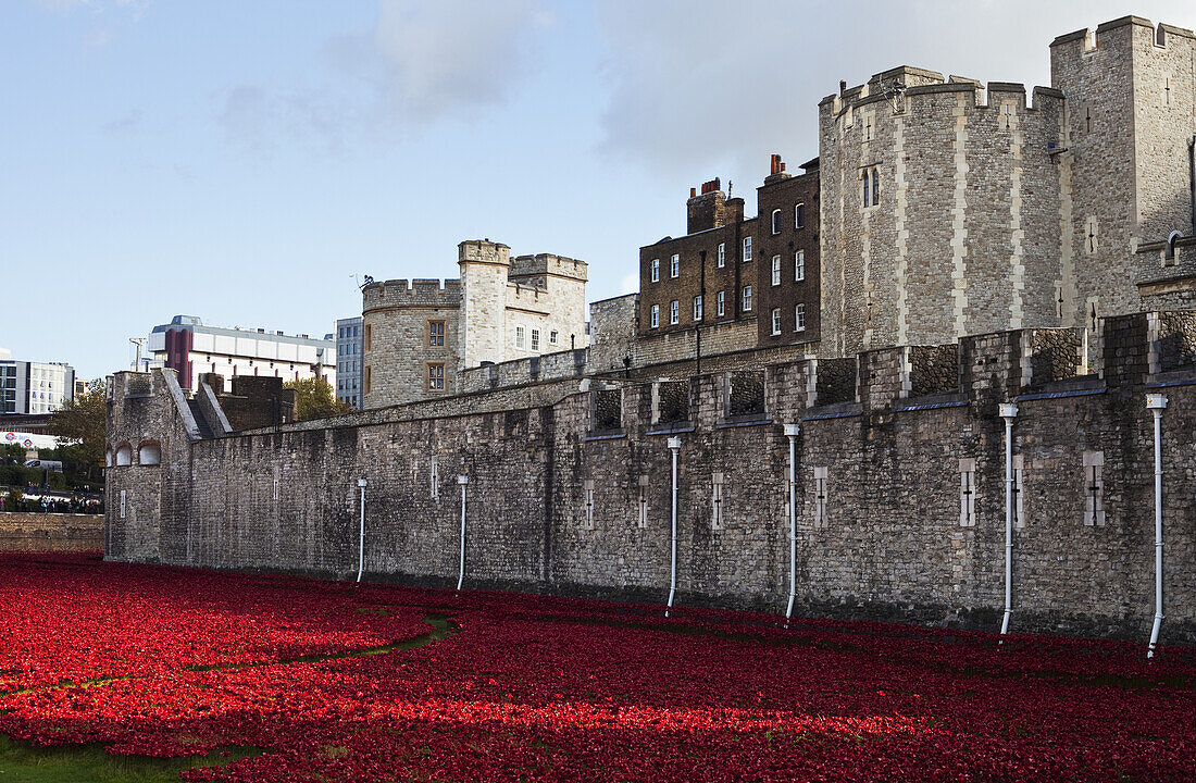 Keramische Mohnblumen im Wassergraben des Tower of London anlässlich des hundertsten Jahrestages des Ersten Weltkriegs; London, England.