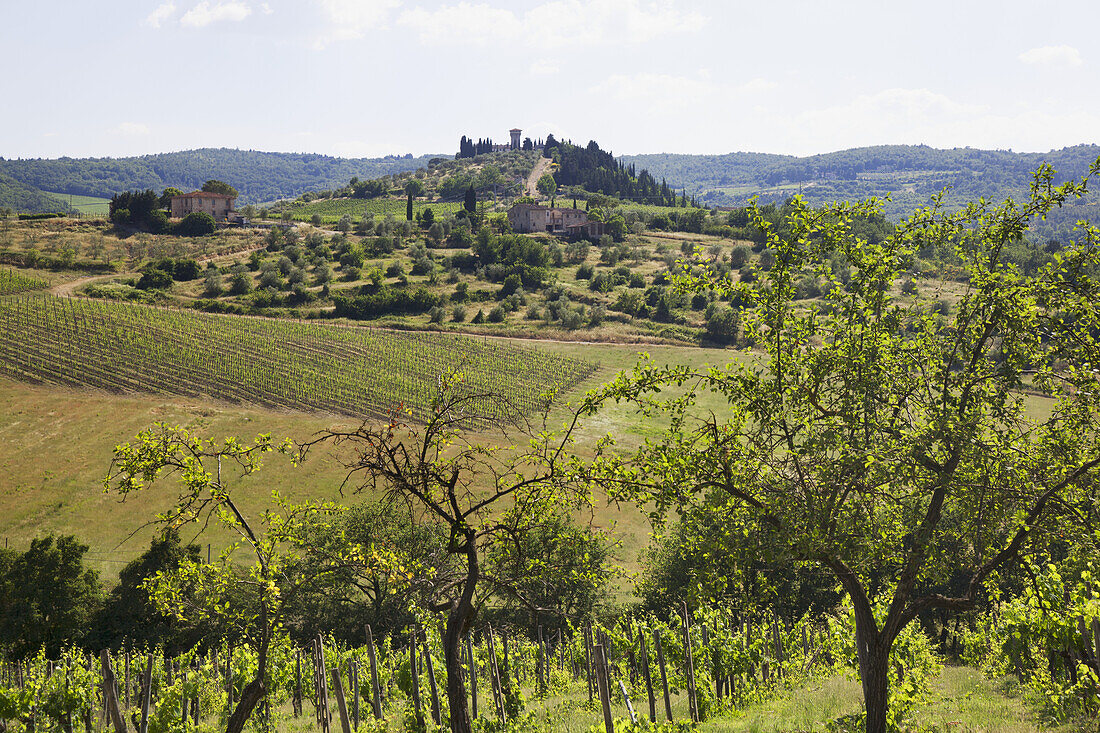 Chianti Countryside; Tuscany, Italy