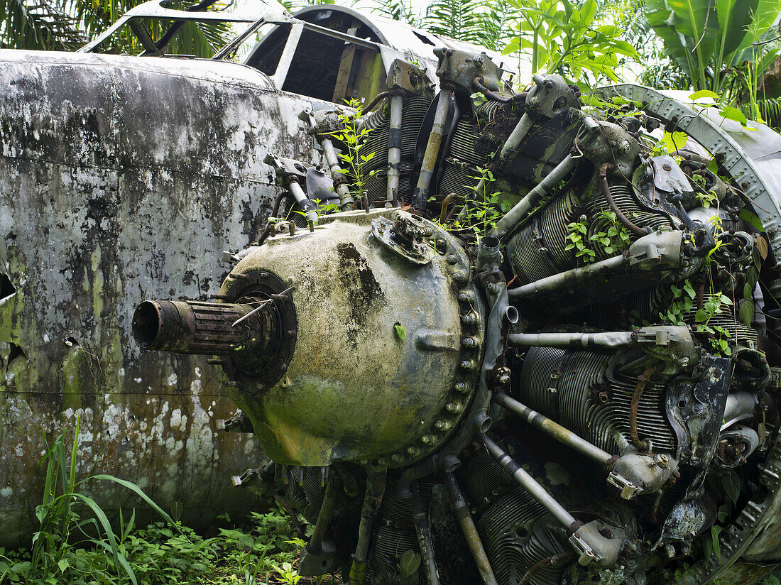 Wrack eines Ww11-Flugzeugs, in der Nähe von Kimbe; West-Neubritannien, Papua-Neuguinea