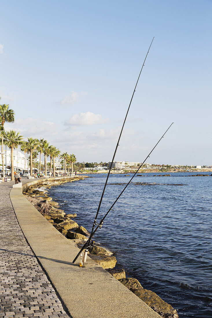 Fishing Rods And Palm Trees Along The Shoreline; Paphos, Cyprus