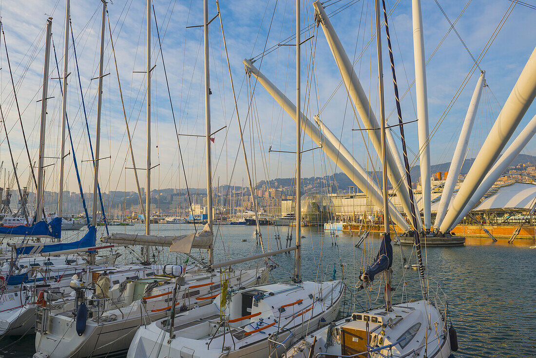 Sailboats In The Harbour At Dusk; Genoa, Liguria, Italy