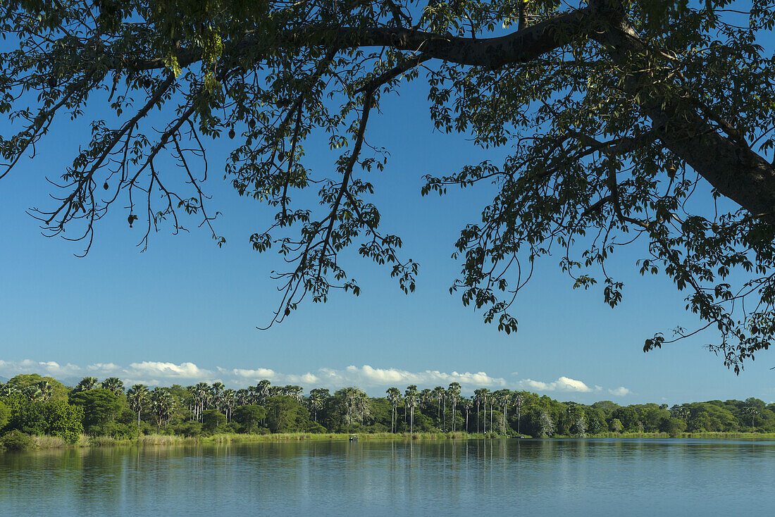 View Across The Shire River From Mvuu Camp, Liwonde National Park; Malawi