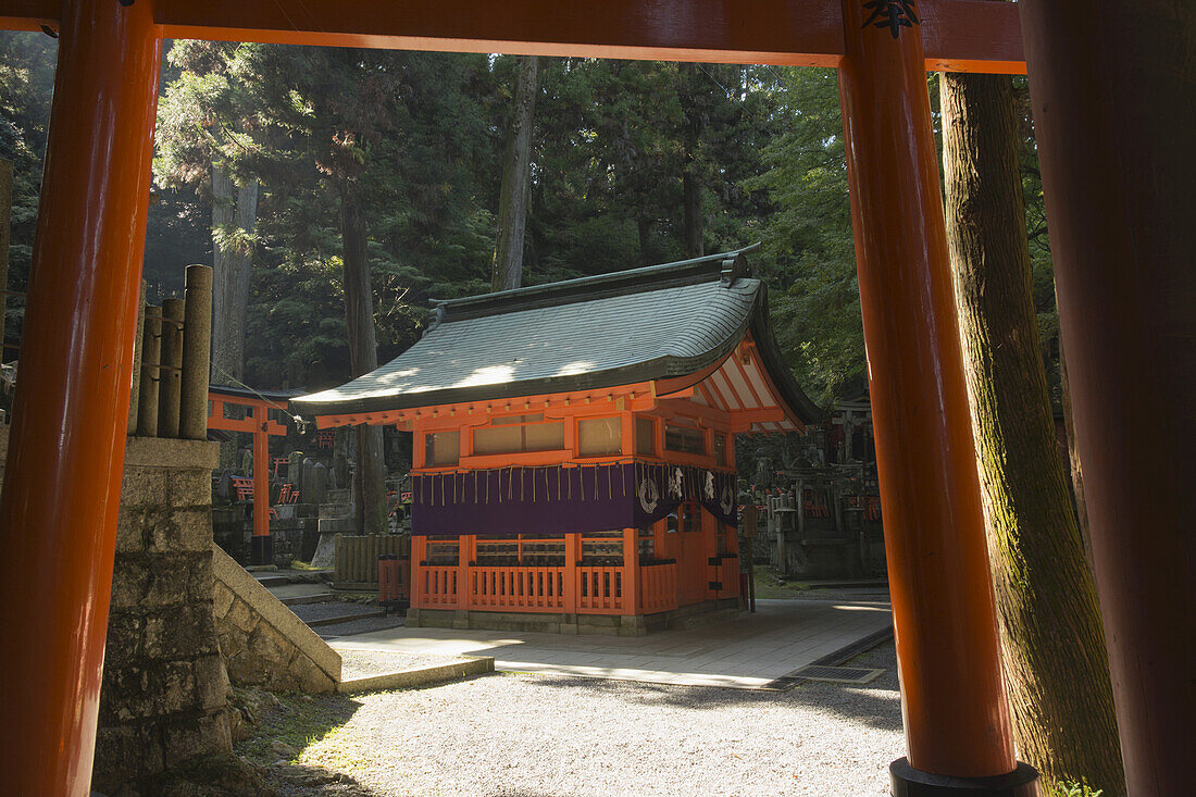 Japanischer Waldschrein durch ein Tori-Tor gesehen; Kyoto, Japan