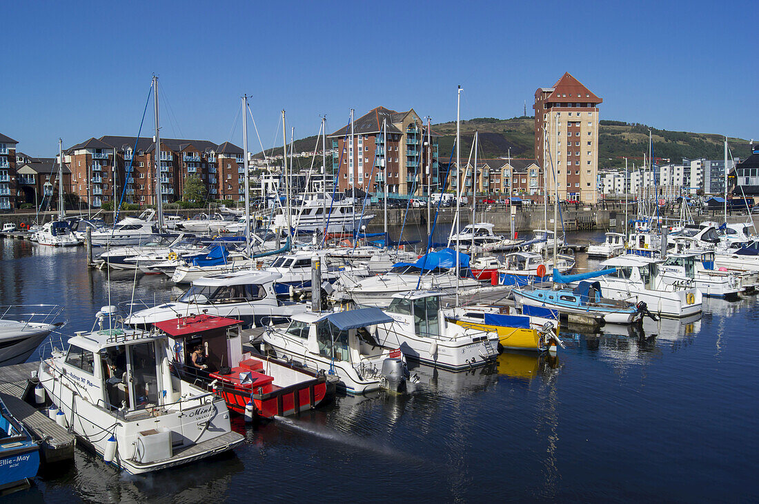 Boote im Jachthafen und Wohngebäude am Wasser; Swansea, Wales