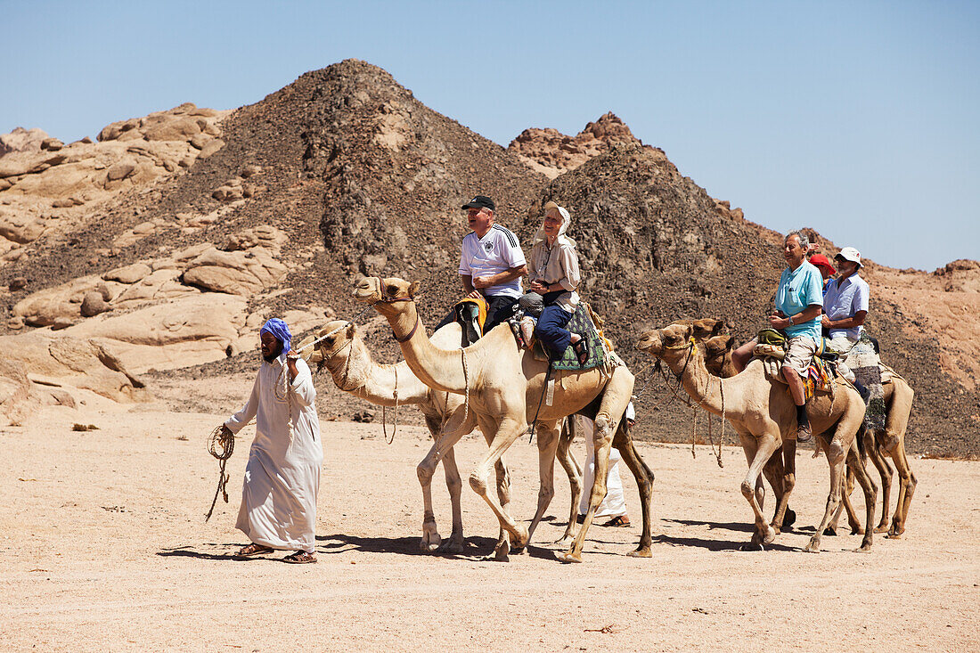 Wüstenkamel-Ritt, Süd-Sinai; Sharm El-Sheikh, Ägypten