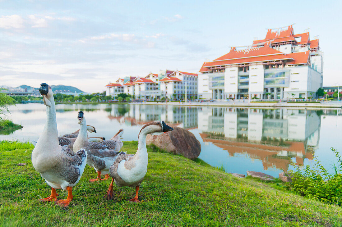 Zhangzhou Campus, Xiamen University; Xiamen, Fujian Province, China