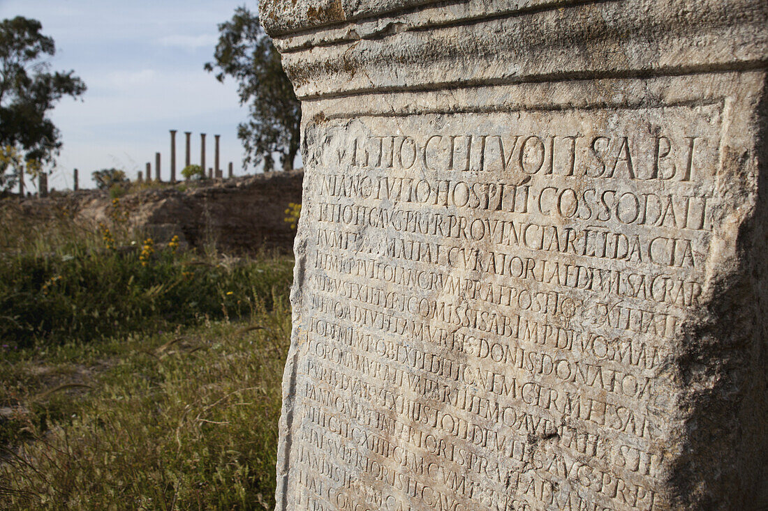 Inscribed Roman Column With The Capitoline Temple In Distance; Thuburbo Majus, Tunisia