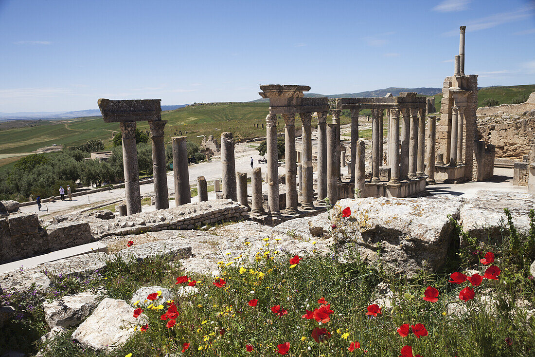 Roman Theatre; Dougga, Tunisia