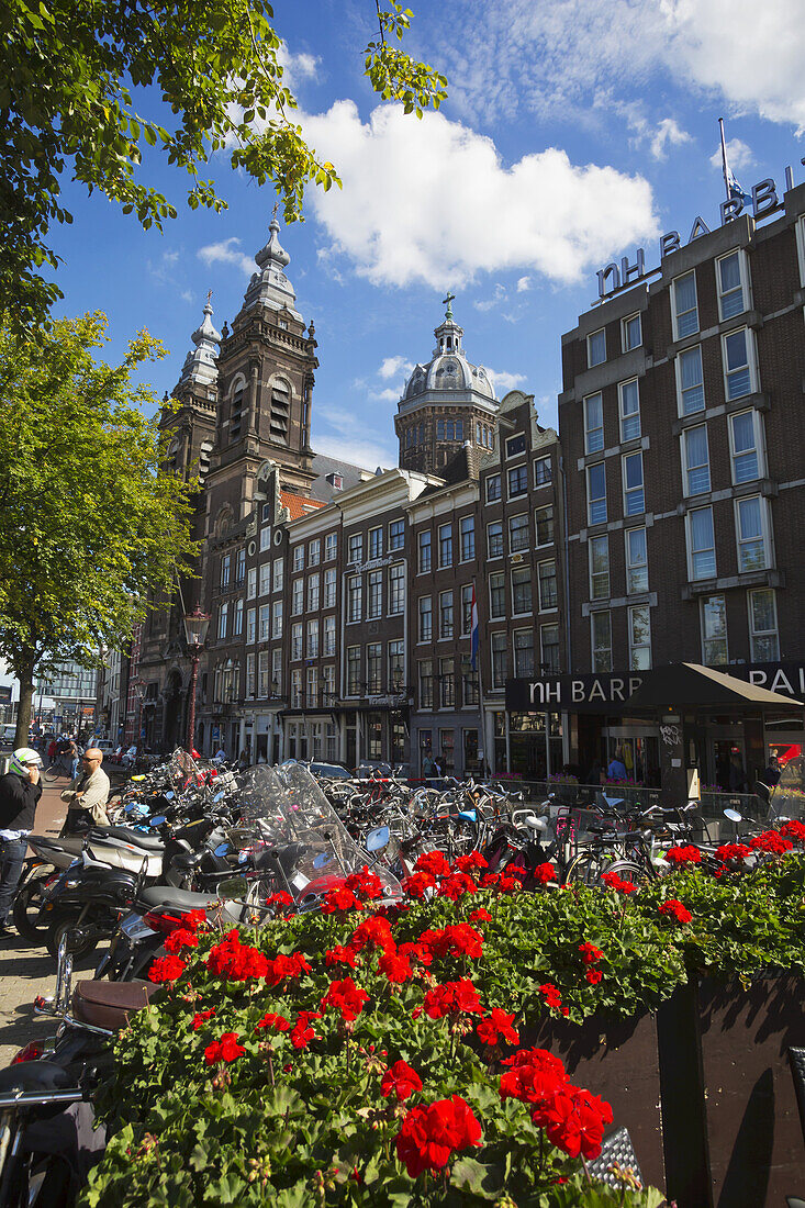 Blühende Blumen in der Nähe des Hauptbahnhofs; Amsterdam, Holland