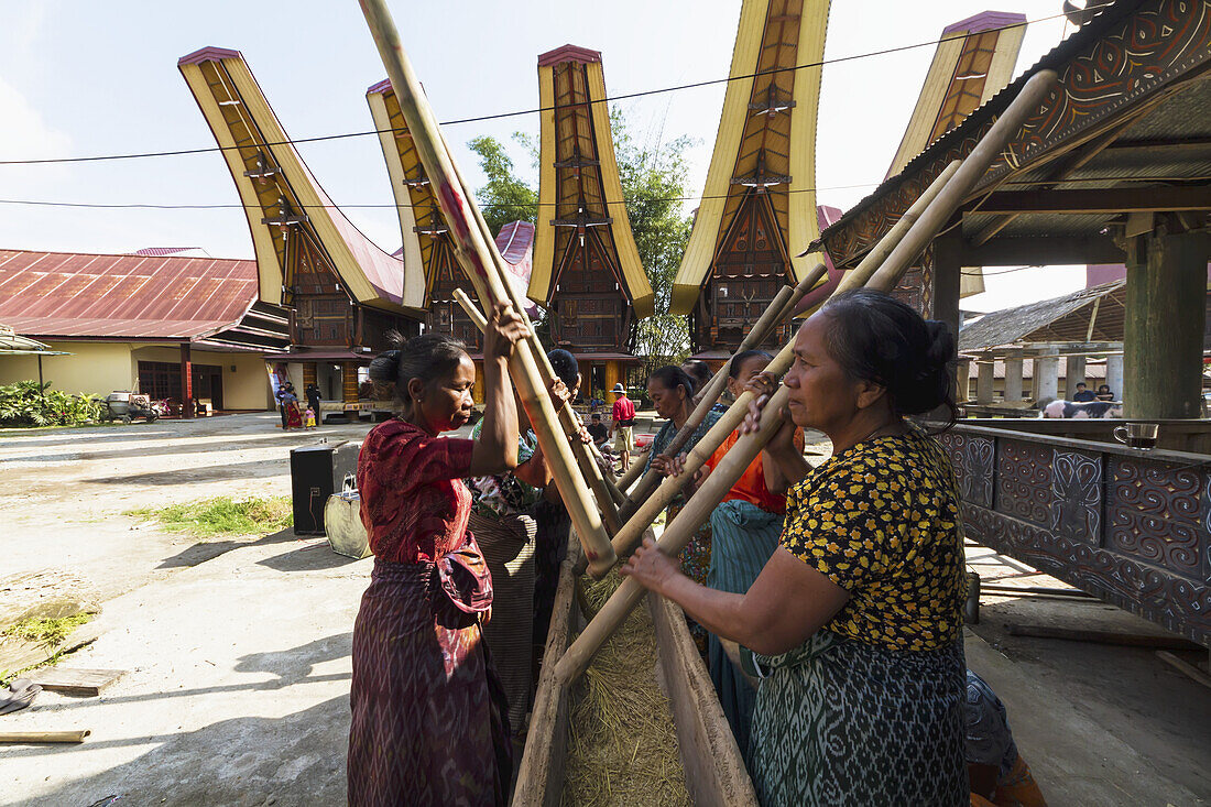 Woman Pounding Rice At A Rante, The Ceremonial Site For A Torajan Funeral Ceremony In Rantepao, Toraja Land, South Sulawesi, Indonesia