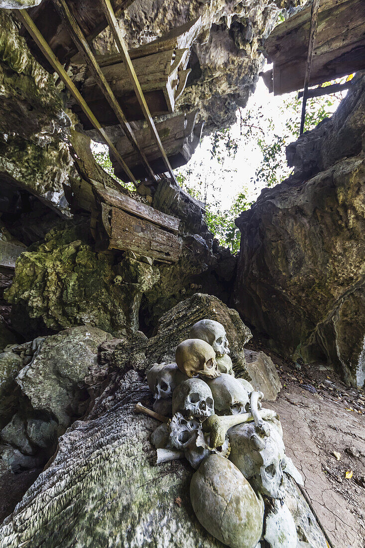 Schädel und Holzsärge in einer Grabhöhle, Tampangallo, Toraja Land, Süd-Sulawesi, Indonesien