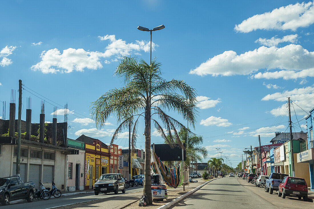 Palm Trees And Colourful Shops Line The Street In Jaguarao, The Border Between Brazil And Uruguay; Uruguay